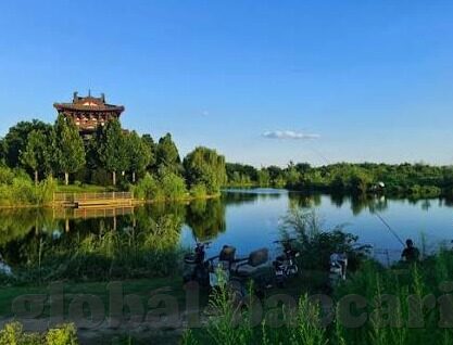 昨天中超足球比分-昨夜烽火连天！中超赛场激战回眸，比分数背后的战术博弈与球星闪耀